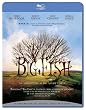Big Fish [Blu-ray]