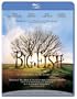 Big Fish [Blu-ray]