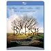 Big Fish [Blu-ray]