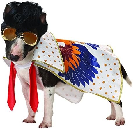 PET ROCK N' ROLL KING ME