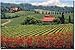 Tools & Hardware : "Rolling Hills Tuscany" by Jennifer Young - Ceramic Tile Mural 12" x 18" Kitchen Shower Backsplash
