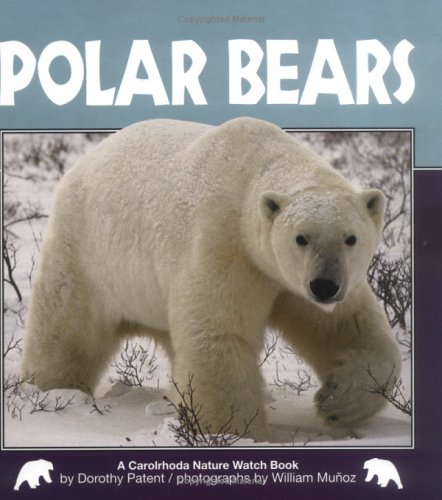 Polar Bears (Nature Watch)