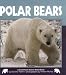 Polar Bears (Nature Watch)