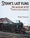 Steam's Last Fling: The Summer of 1969 on Northern Ireland Railways