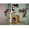 Top Twenty Best Cat Trees on Amazon! Plus a few more goodies!