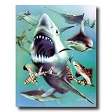 Ocean Shark Collage Kids Room Animal Wildlife Wall Picture 16x20 Art Print