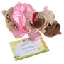 Pound Puppies: Puppy Dreams - Pug