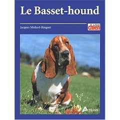 Basset Hound