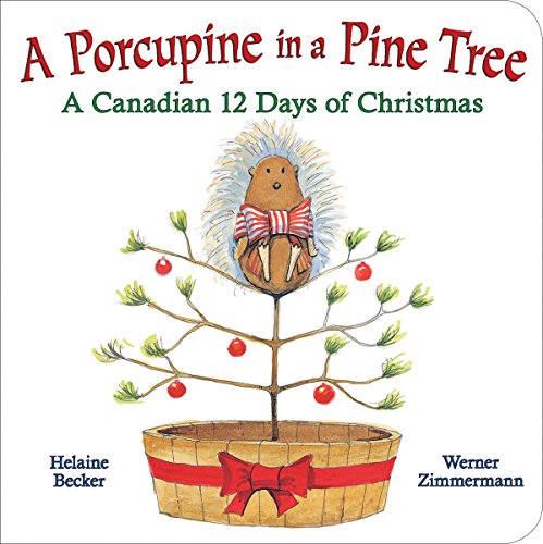 A Porcupine in a Pine Tree