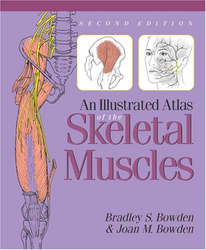 an illustrated atlas of the skeletal muscles
