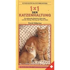 1 x 1 der Katzenhaltung
