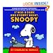 "It Was a Dark and Stormy Night, Snoopy"