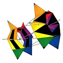 SpinBox® Nylon Rotating Box Kite: Nexxus by X-Kites