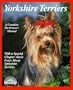 Yorkshire Terriers (Pets)