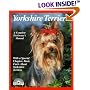 Yorkshire Terriers (Pets)