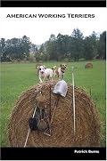 American Working Terriers