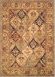 10x14 Tufted 100% Wool Rug
