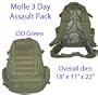 MOLLE 3 Day Military Assault Pack Backpack - OD Green