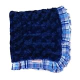 Popsicle Snuggle Blanket