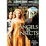 Angels & Insects