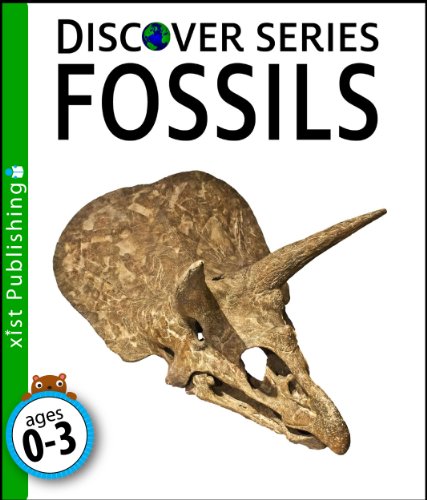 Fossils (Discover Series)
