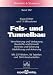 Fels- und Tunnelbau