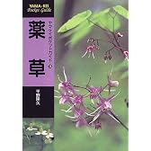 薬草 (ヤマケイポケットガイド)