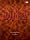 The Legend Of Loudness~Live Complete Best~ [DVD]