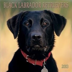 Black Labrador Retrievers: 2003