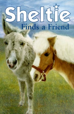 Shetland Pony
