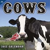 Cows Cows Cows 2012 Wall Calendar