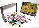 Photo Jigsaw Puzzle of LA-6024 Canaan dog from Ardea Wildlife Pets