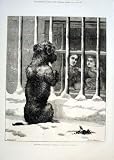 Dog Supported By Voluntry Contributions By Dollman