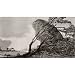 Francisco de Goya y Lucientes (Landscape with large rocks) Art Poster Print - 13x19