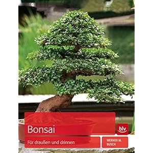 Bonsai: Für draußen und drinnen