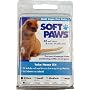 Soft Paws for Kittens
