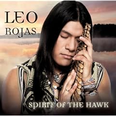 Spirit Of The Hawk