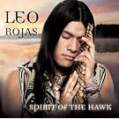 Spirit Of The Hawk