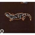 Salamander