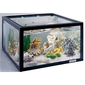 Hubbard Scientific 35125 Oceanic Saltwater Aquarium, 25 Gallon by Hubbard Scientific