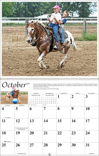 Childrens Toyshop  Sporting Goods : 2009 Mischka Mule Wall Calendar
