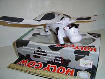 http://ecx.images-amazon.com/images/I/51HOW8BWyLL._SX355_.jpg