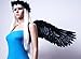 FashionWings (TM Adults' Black Wide Spread Costume Feather Angel Wings, Halo & Mask