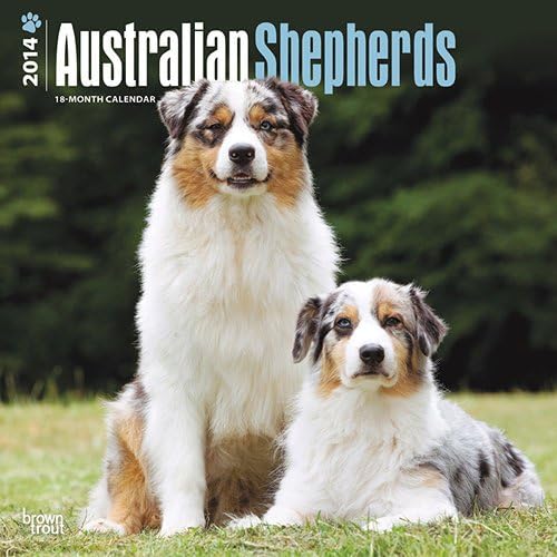 Australian Shepherds 2014 Wall Calendar
