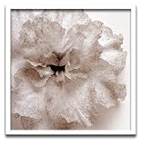 �s�t�H�g�t���[���tjk driggs�@Blossom[One]�i�u���b�T��1�j