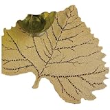 Heritage Lace Aspen Leaf 14-Inch by 16-Inch Placemat, Goldenrod, Set of 2