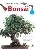 Cuidados del Bonsai/ Bonsai Care