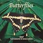 Butterflies 2007 Mini Calendar