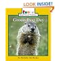 Groundhog Day (Rookie Read-About Holidays)