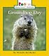 Groundhog Day (Rookie Read-About Holidays)